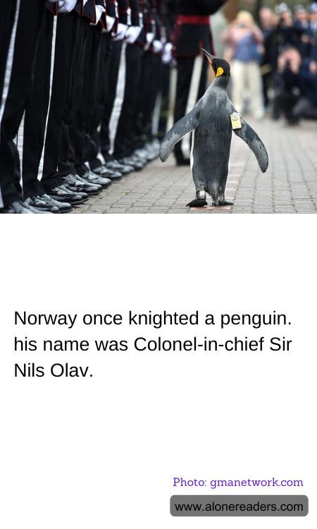 General Knowledge Learning Cards