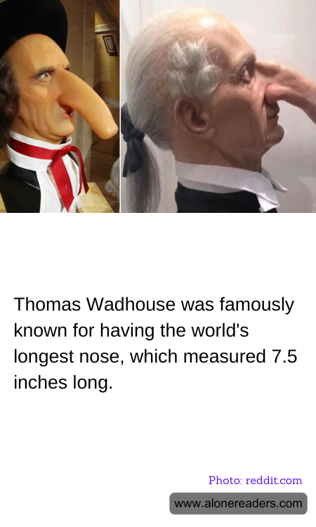 Thomas Wadhouse was famously known for having the world's longest nose, which measured 7.5 inches long.