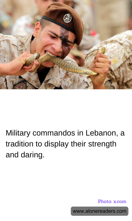 Military commandos in Lebanon, a tradition to display their strength and daring.