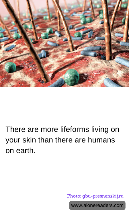 There are more lifeforms living on your skin than there are humans on earth.