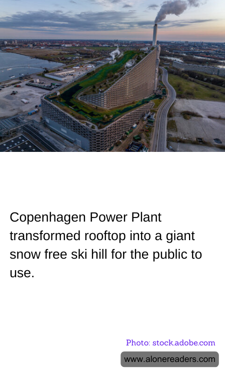 Copenhagen Power Plant transformed rooftop into a giant snow free ski hill for the public to use.