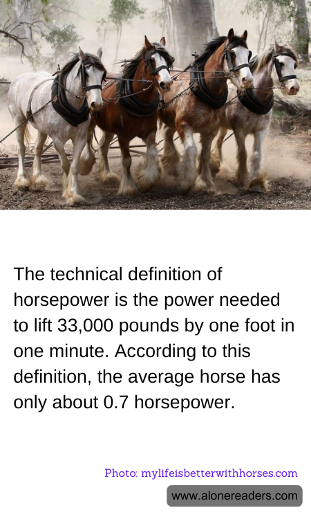 The technical definition of horsepower is the power needed to lift 33,000 pounds by one foot in one minute. According to this definition, the average horse has only about 0.7 horsepower.