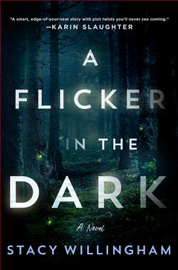 A Flicker in the Dark by Stacy Willingham