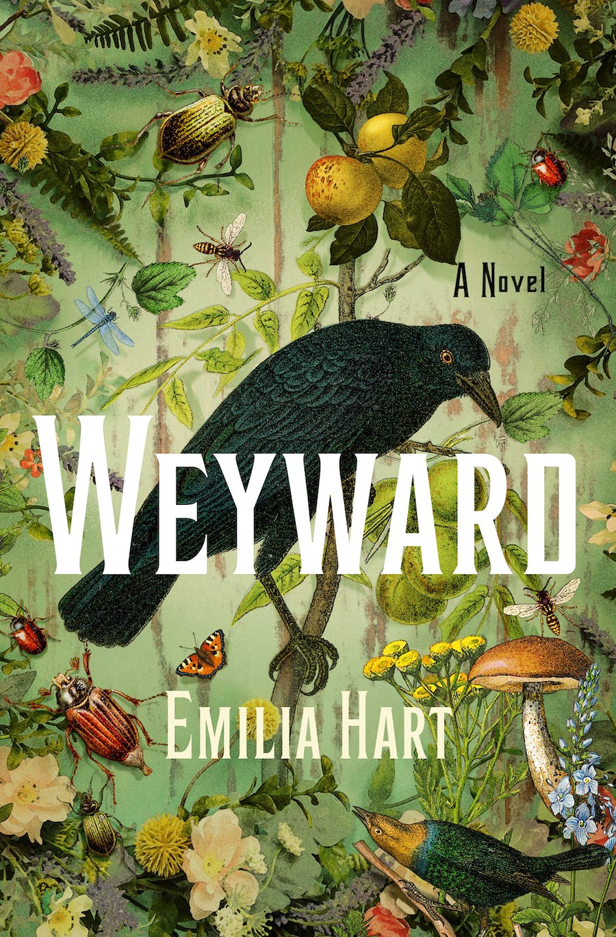 3. Weyward by Emilia Hart