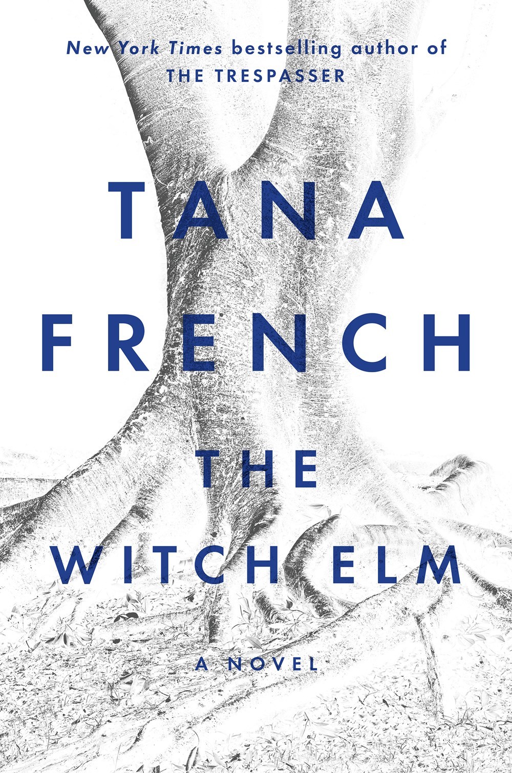 4. The Witch Elm by Tana French