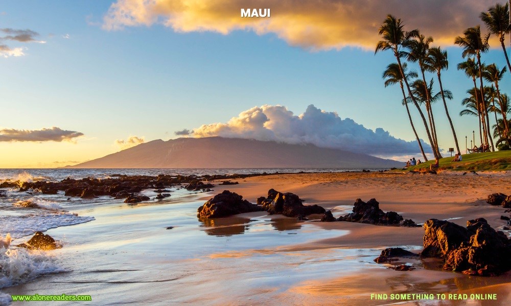 Maui: The Valley Isle